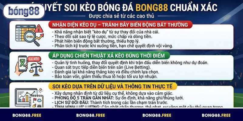 Bí quyết soi kèo bóng đá BONG88 chuẩn xác được chia sẻ từ các cao thủ