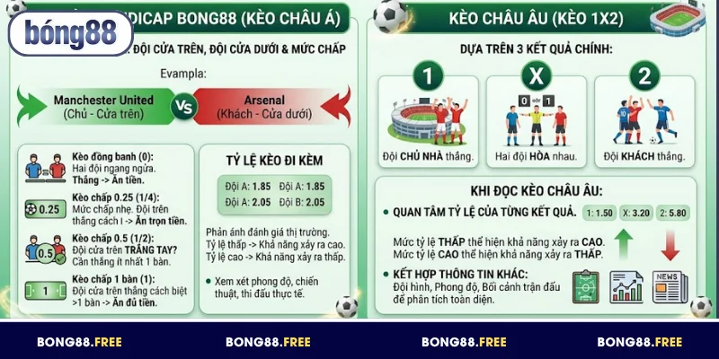 Đọc kèo châu Á châu Âu BONG88 đơn giản, dễ nắm