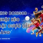 Live Betting BONG88 - Cập Nhật Kèo Nhanh, Đặt Cược Dễ Dàng